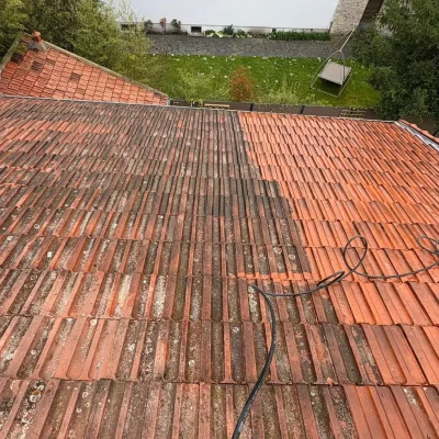 Démoussage toiture Bois-Colombes 92270