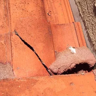 Fuite de toiture Bois-Colombes 92270