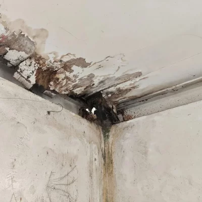 Fuite toiture Asnières-sur-Seine 92600