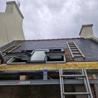 Pose Velux La Garenne-Colombes
